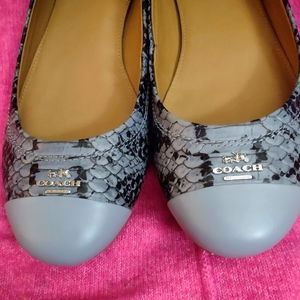 Coach size 8 blue snake skin flats